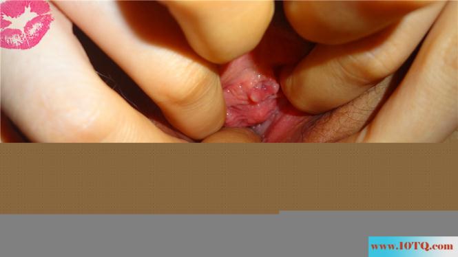 出租房里的春色(13P)