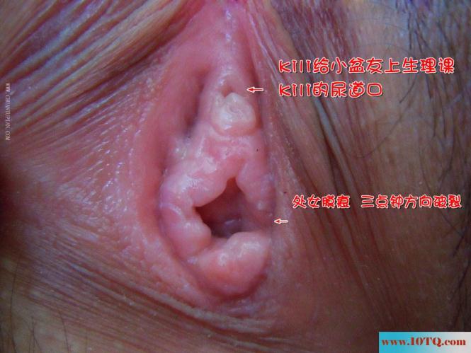 kili的嫩屄(15P)