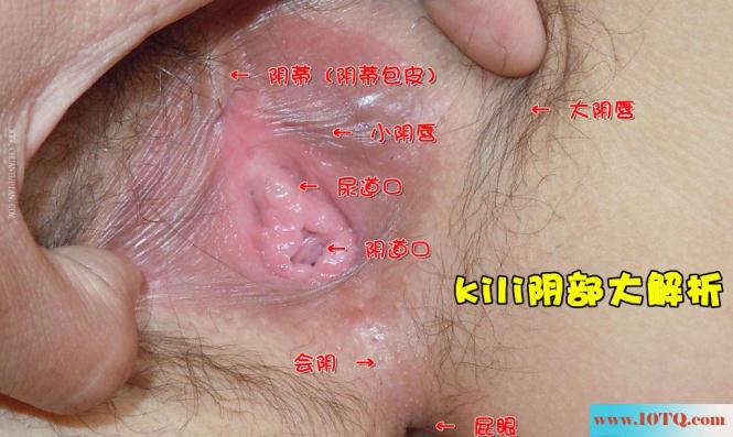 kili的嫩屄(15P)