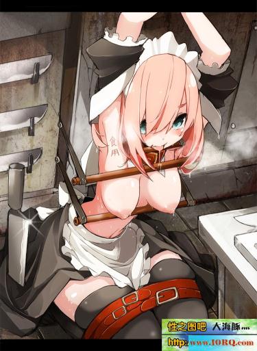 (CG)(全彩)小可爱飞机场女仆(31P)