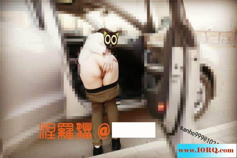 08-01原创涅罗猫作品第十一集-野外有只小家猫4