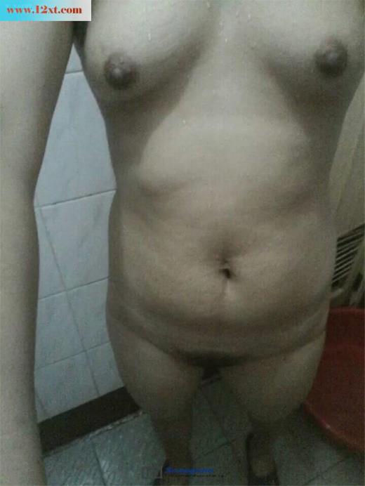 黑木耳(12P)