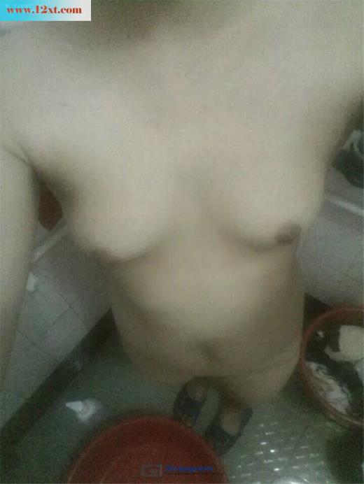 黑木耳(12P)