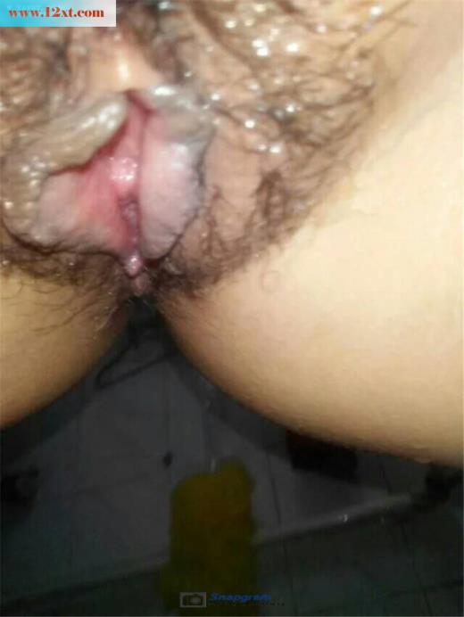 黑木耳(12P)