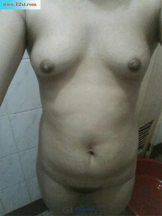 黑木耳(12P)
