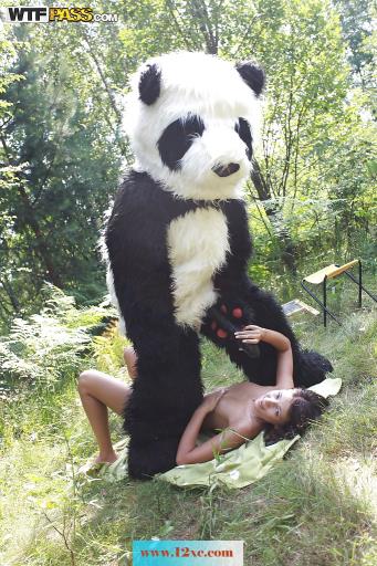 少女和熊猫森林野战(16P)