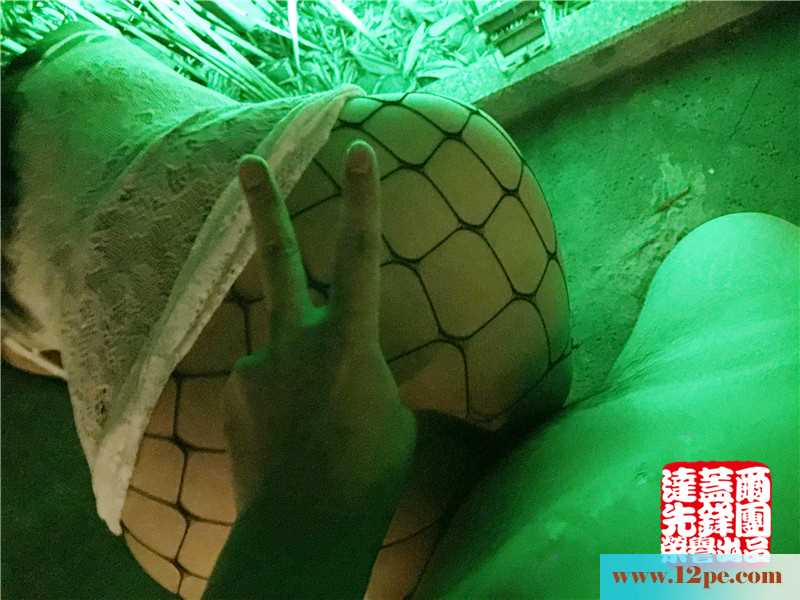 <!-- 标题采集开始 -->绿光下的黑网袜，哥哥们心动了没(11P)<!-- 标题采集结束 -->