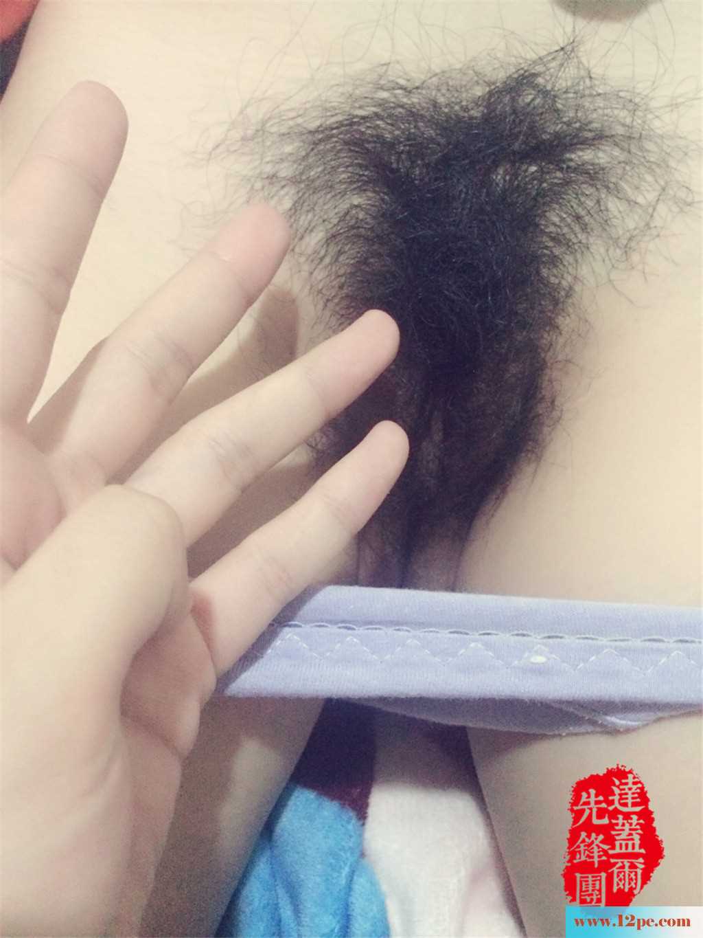 <!-- 标题采集开始 -->都说阴毛密的女生性欲强，这不是一片小树木，<!-- 标题采集结束 -->