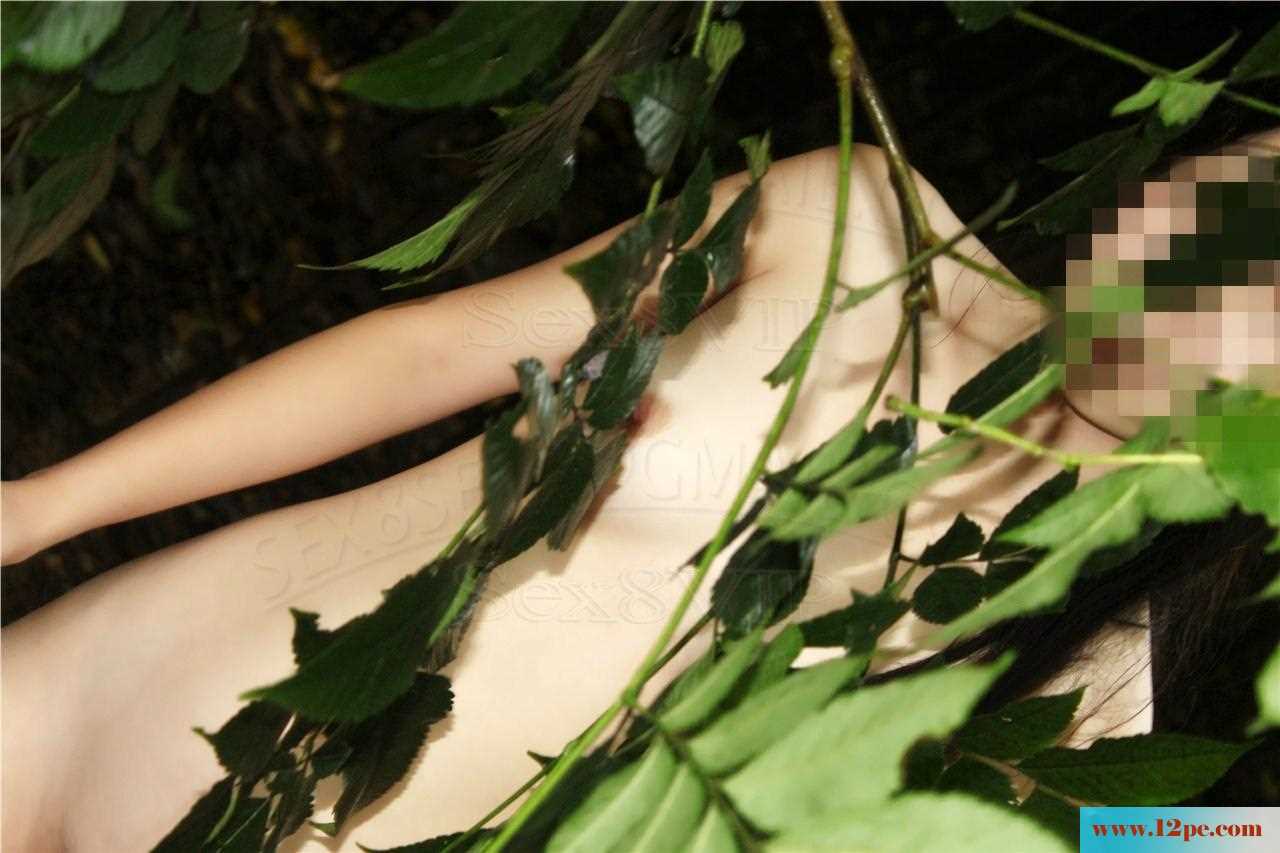 <!-- 标题采集开始 -->绿叶(30P)<!-- 标题采集结束 -->