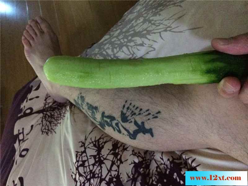 和骚老婆在家自拍之青瓜插逼[17P]&nbsp;&nbsp;